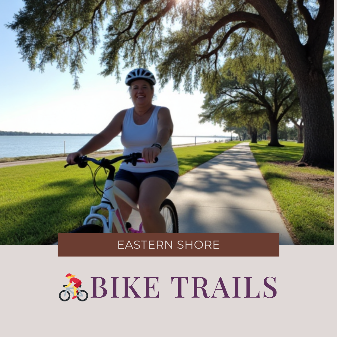 Tami Bike April 2025 Square